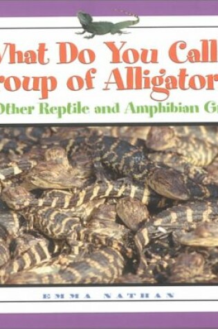 Cover of What Do You Call a Group of Alligators?