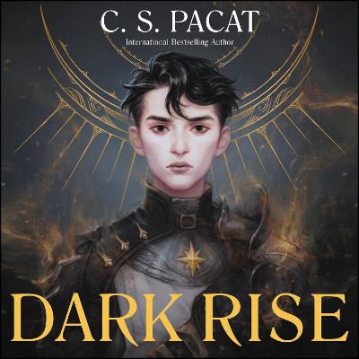 Book cover for Dark Rise