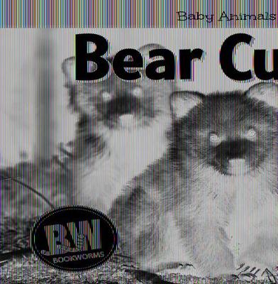 Book cover for Bear Cubs