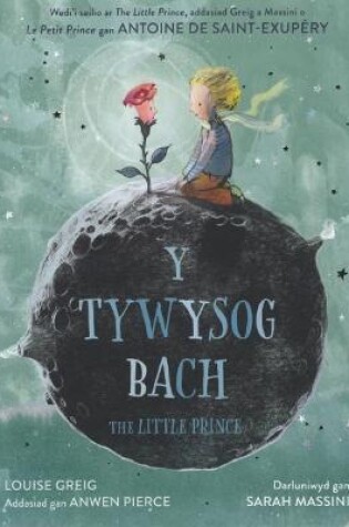 Cover of Tywysog Bach, Y / Little Prince, The