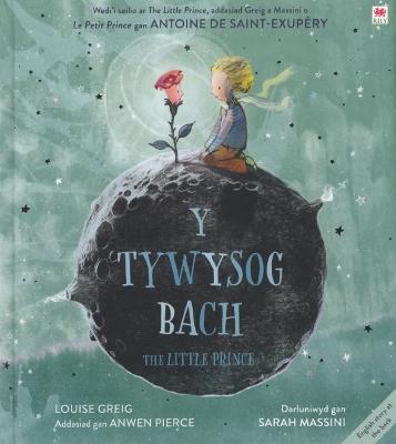 Book cover for Tywysog Bach, Y / Little Prince, The
