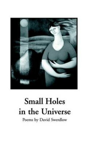 Cover of Small Holes in the Universe