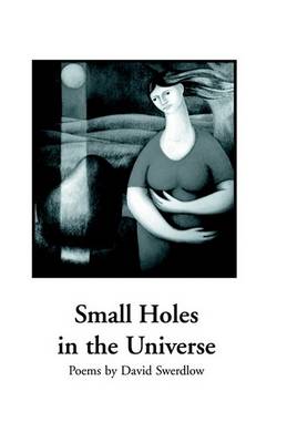 Book cover for Small Holes in the Universe