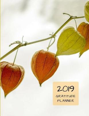 Book cover for 2019 Confucian Learn Gratitude Journal Daily Planner