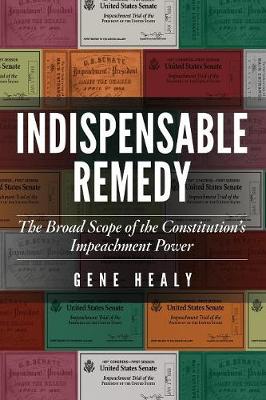 Book cover for Indispensable Remedy