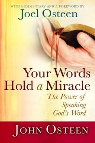 Cover of Your Words Hold a Miracle