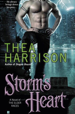 Cover of Storm's Heart