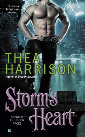 Book cover for Storm's Heart