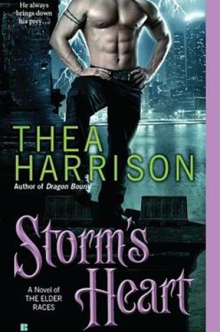 Cover of Storm's Heart