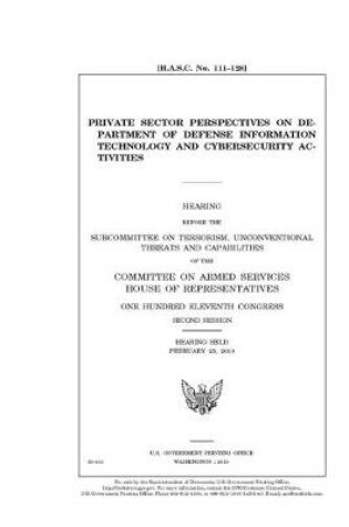 Cover of Private sector perspectives on Department of Defense information technology and cybersecurity activities