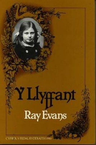 Cover of Llyffant, Y
