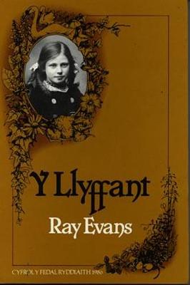 Book cover for Llyffant, Y