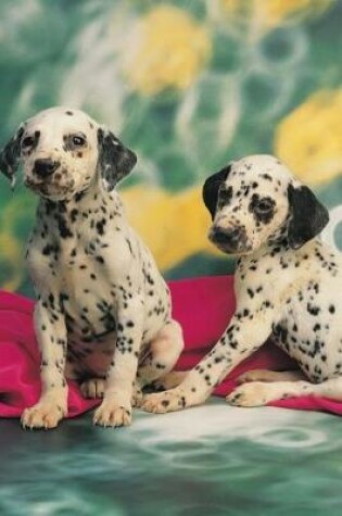 Cover of 2020 Daily Planner Dalmatian Puppies Dog Photo 388 Pages