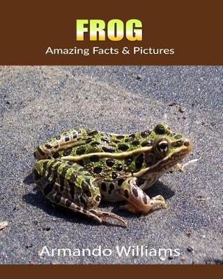 Book cover for Frog