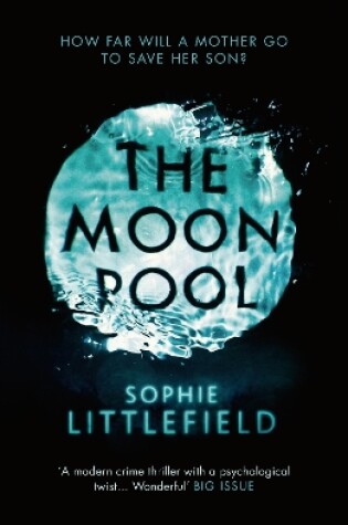 Cover of The Moon Pool