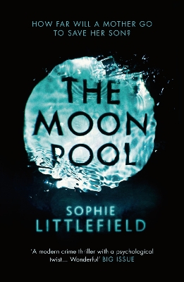 Book cover for The Moon Pool