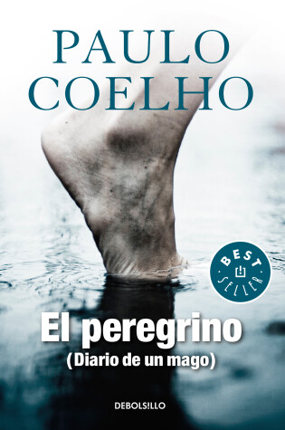 Cover of El peregrino: Diario de un mago / The Pilgrimage: Diary of a Wizard