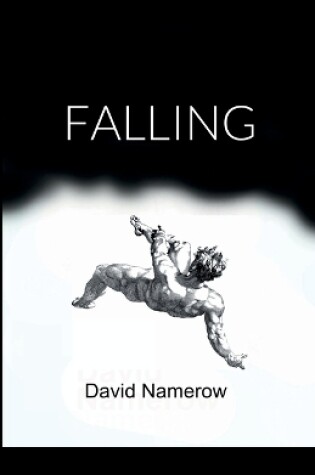 Cover of Falling