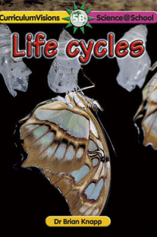 Cover of Life Cycles