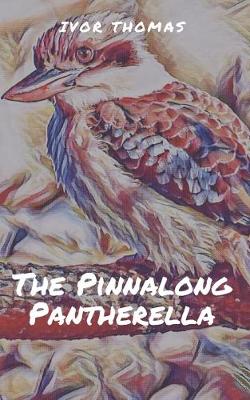 Book cover for The Pinnalong Pantherella