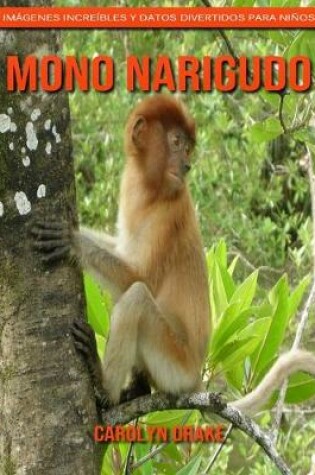 Cover of Mono narigudo