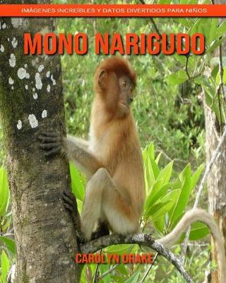 Book cover for Mono narigudo