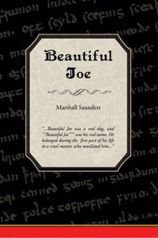 Cover of Beautiful Joe (eBook)