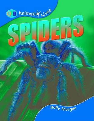 Book cover for Animal Lives Spiders Us