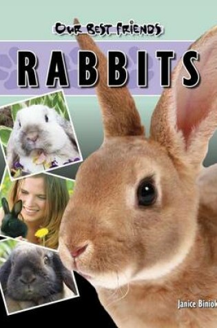 Cover of Rabbits