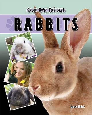 Cover of Rabbits