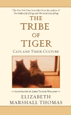 Book cover for The Tribe of Tiger