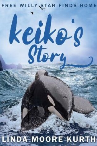 Cover of Keiko's Story