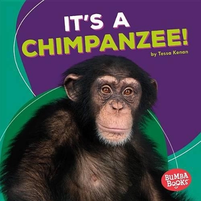 Book cover for It's a Chimpanzee!