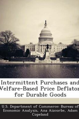 Cover of Intermittent Purchases and Welfare-Based Price Deflators for Durable Goods
