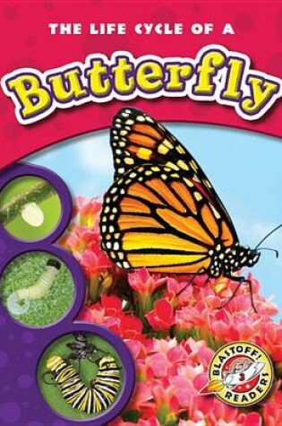 Cover of The Life Cycle of a Butterfly