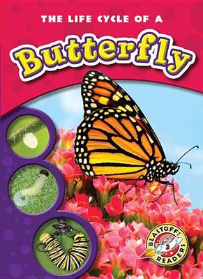 Book cover for The Life Cycle of a Butterfly