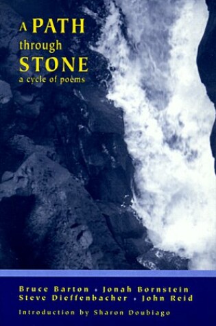 Cover of A Path Through Stone