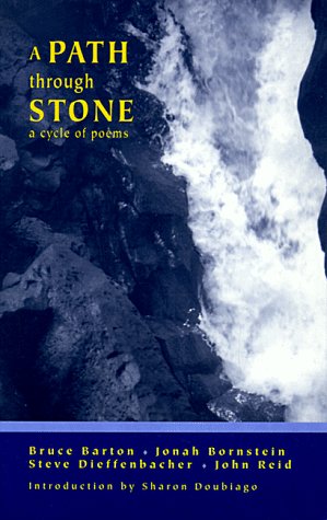 Book cover for A Path Through Stone