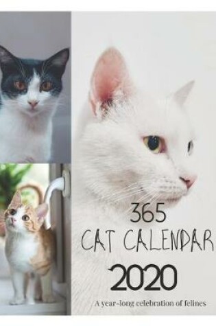 Cover of 365 Cat Calendar 2020