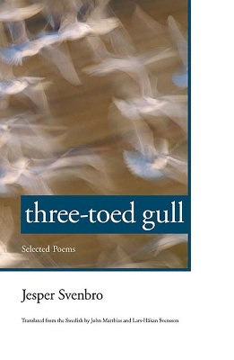 Book cover for Three-toed Gull