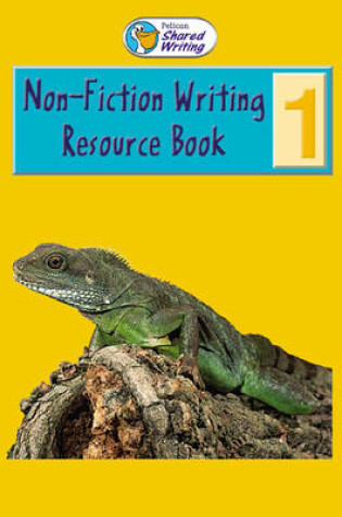 Cover of Fiction Teachers Book Year 1 Paper