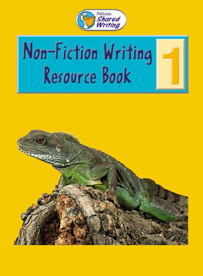 Book cover for Fiction Teachers Book Year 1 Paper