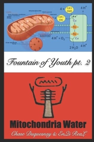 Cover of Mitochondria Water