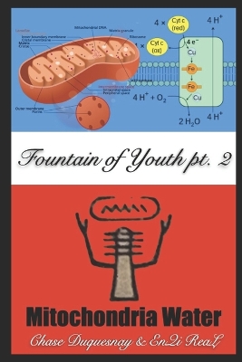 Cover of Mitochondria Water