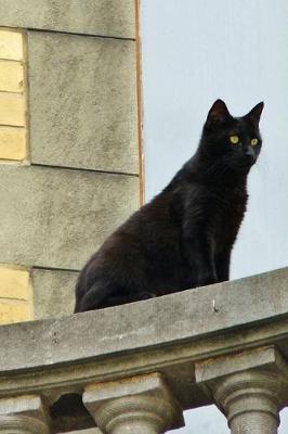 Book cover for Black Cat on the Balcony Journal