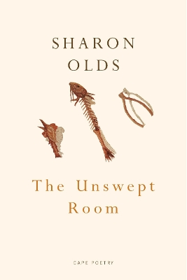 Book cover for The Unswept Room