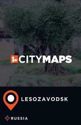 Book cover for City Maps Lesozavodsk Russia