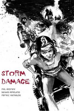 Cover of Storm Damage