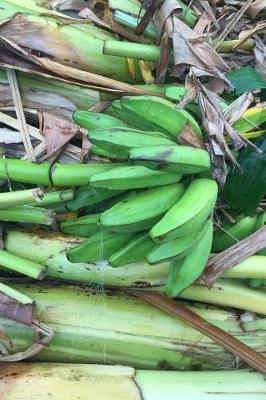 Book cover for Fresh Plantain Harvest