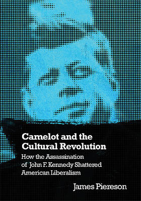 Book cover for Camelot and the Cultural Revolution